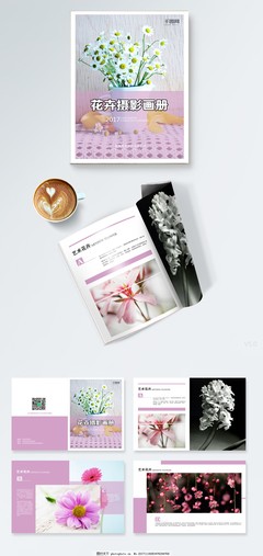 生命的簡約美學 花卉攝影與苗木種植的藝術(shù)畫冊